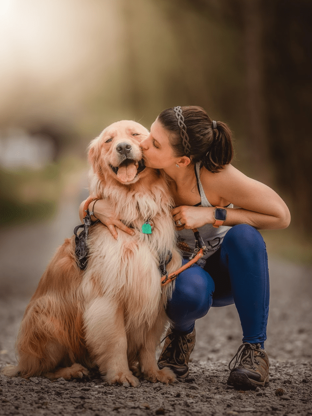 8 pet dog hacks that every dog parent should know