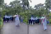 Kerala, stray dogs, dog attack, dog vaccination, animal birth control centre, news24, India news