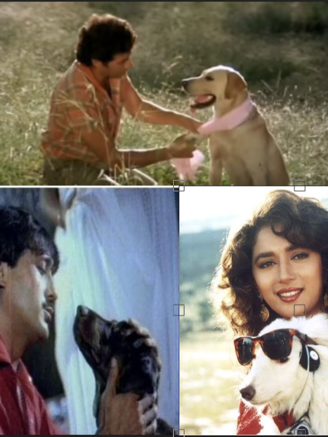 8 amazing 90s Bollywood movies that every dog lover should watch