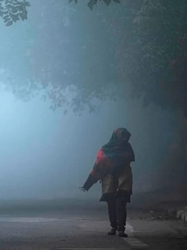 Weather update on November 25: Heavy rain prediction in 10 states today; Know the latest forecast