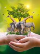 World Wildlife Day 2023