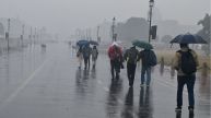 Delhi Weather Update: Morning Showers Bring Relief, IMD Issues Yellow Alert For Thunderstorms – Check This Week's Forecast