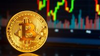 Cryptocurrency Craze To Crash: From Rs 70 Lakh To Rs 4 Lakh - A Startup Founder’s Costly Nightmare