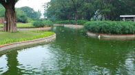 Representative Image (Ponds)