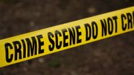Crime