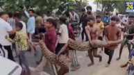 Viral Video
