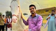Aasif Khan