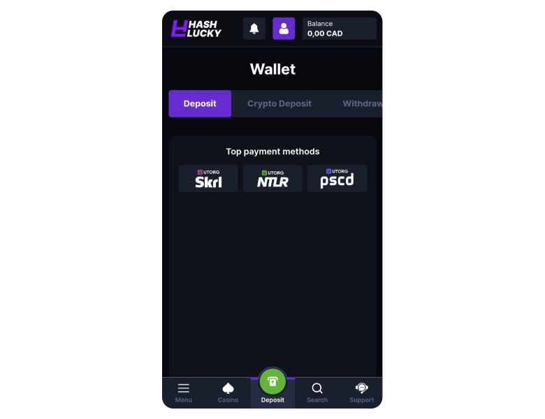 Hashlucky casino payment methods selection page